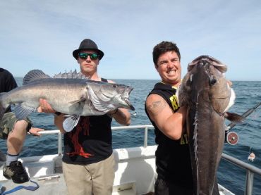 Kaikoura Fishing Tours